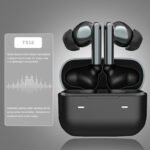 Smartwitz TS16 Black Earbuds